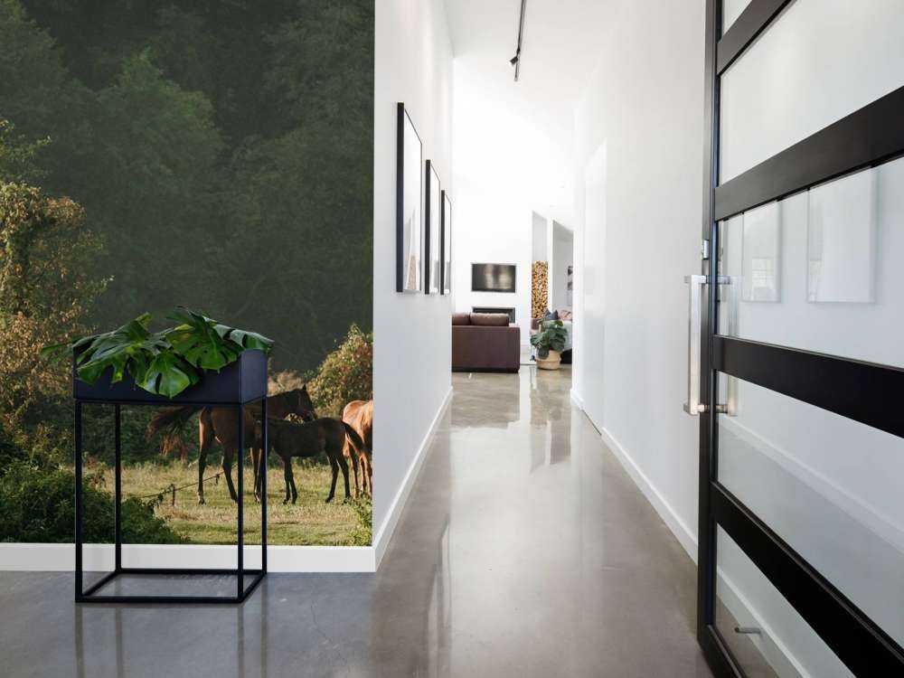 Chevaux dans la Forêt Enchantée