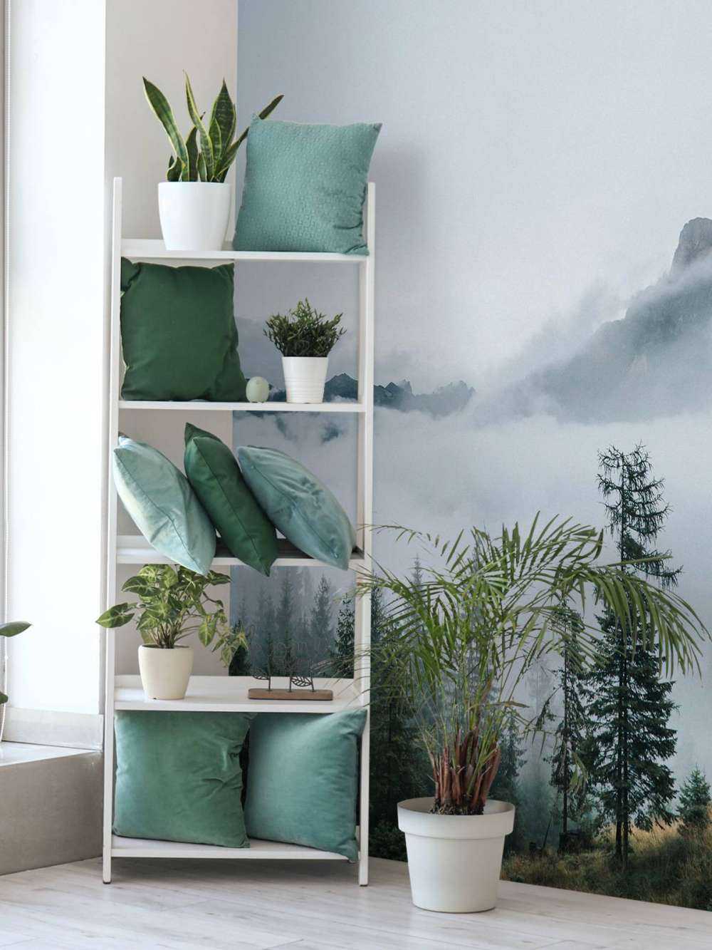 Brume matinale sur la forêt