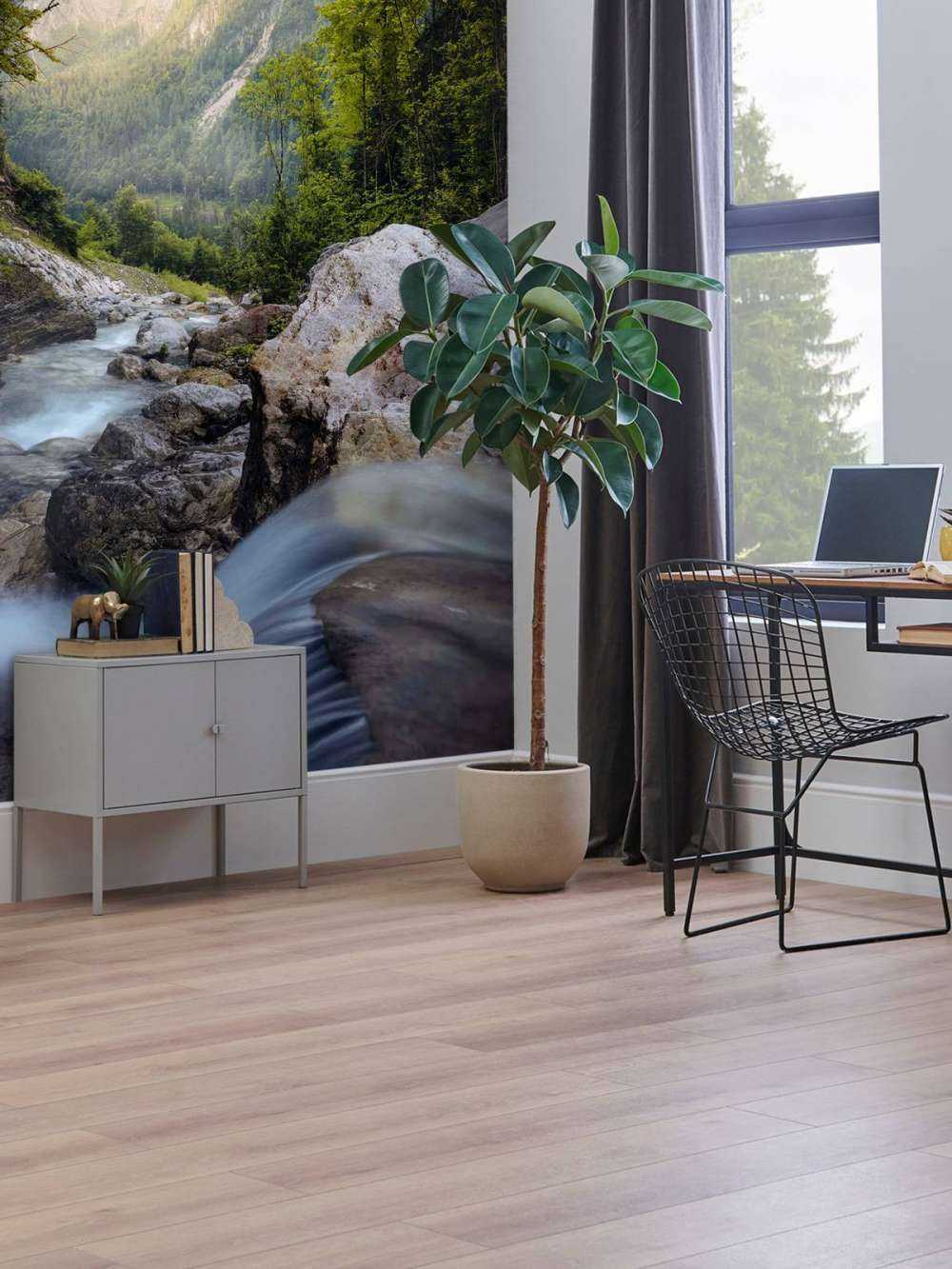 Bergstroom dans la nature