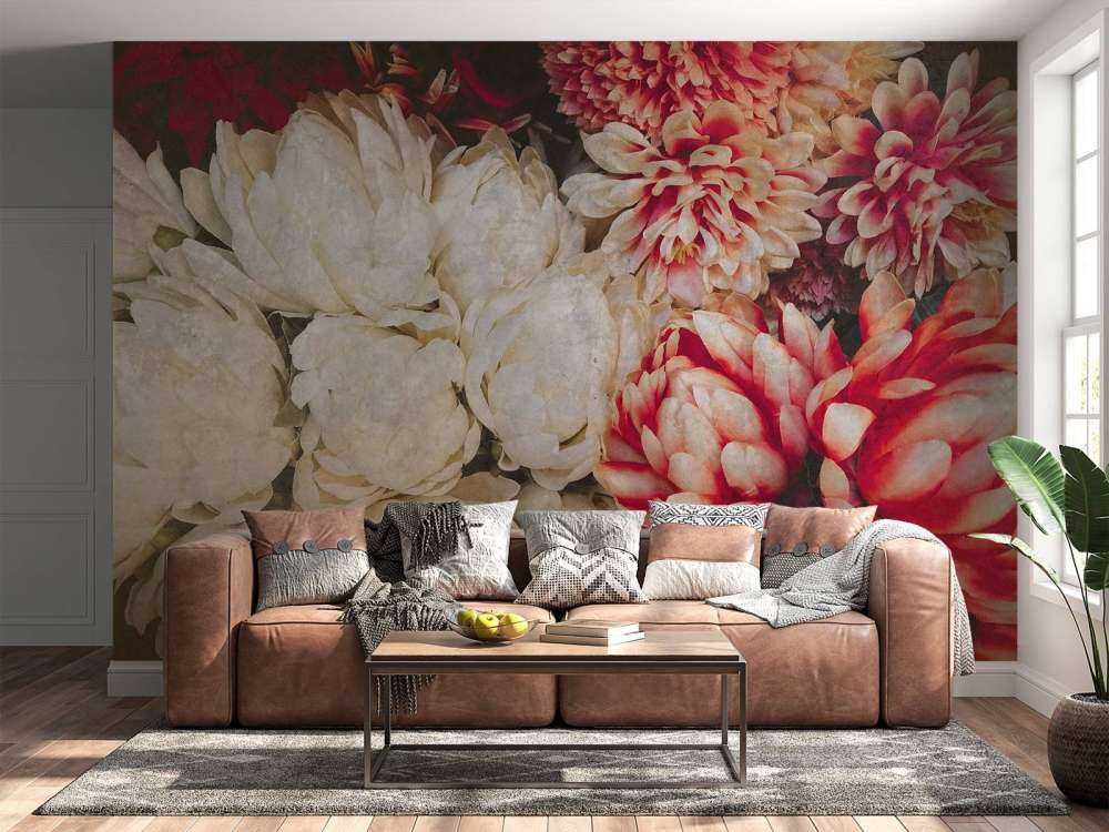 Chrysanthèmes en crème et carmin