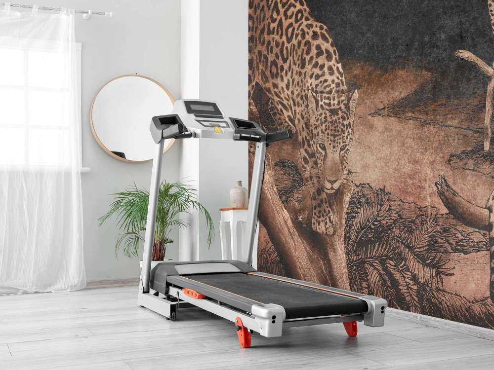 Léopards dans la forêt crépusculaire