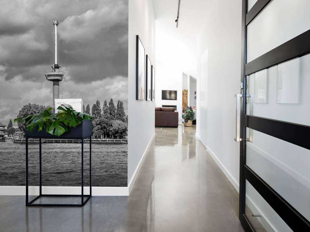 Euromast et Maas en monochrome