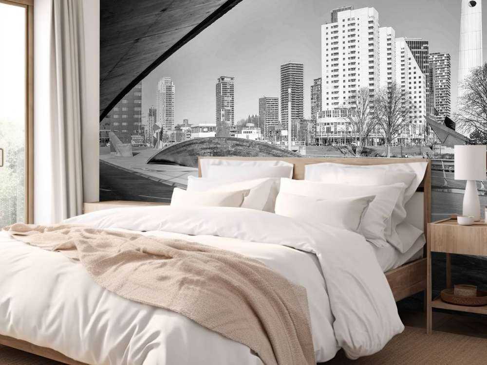 Skyline de Rotterdam sous le pont