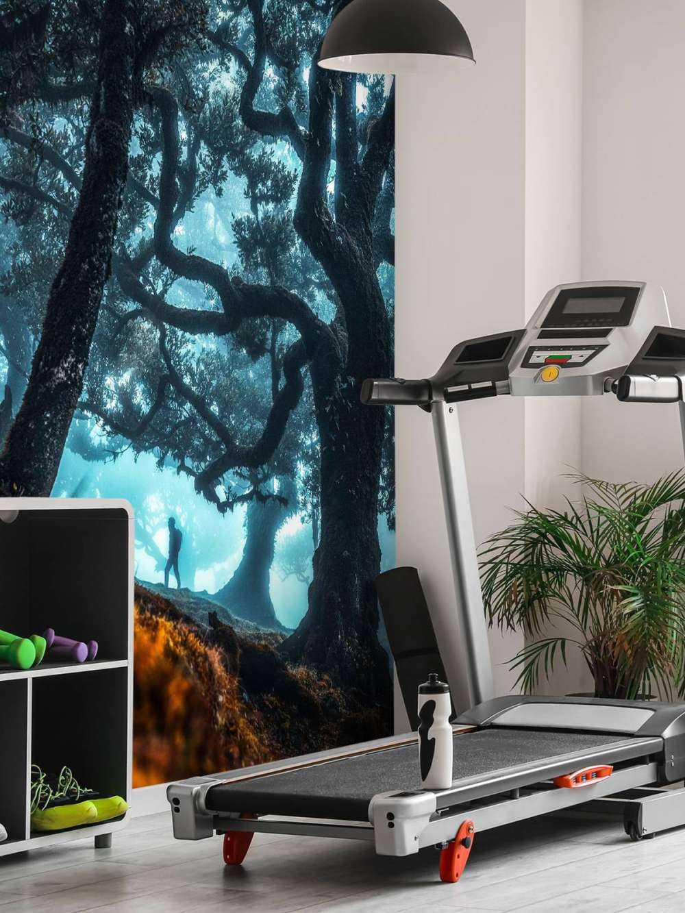 Silhouette mystique dans la forêt de brume.