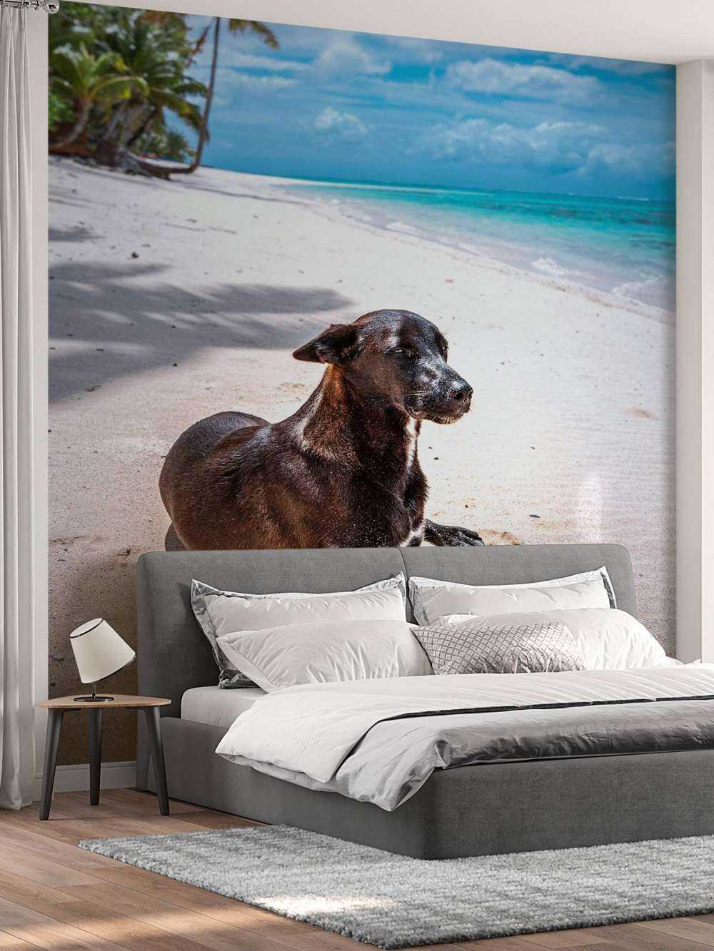 Chien noir sur une plage tropicale.