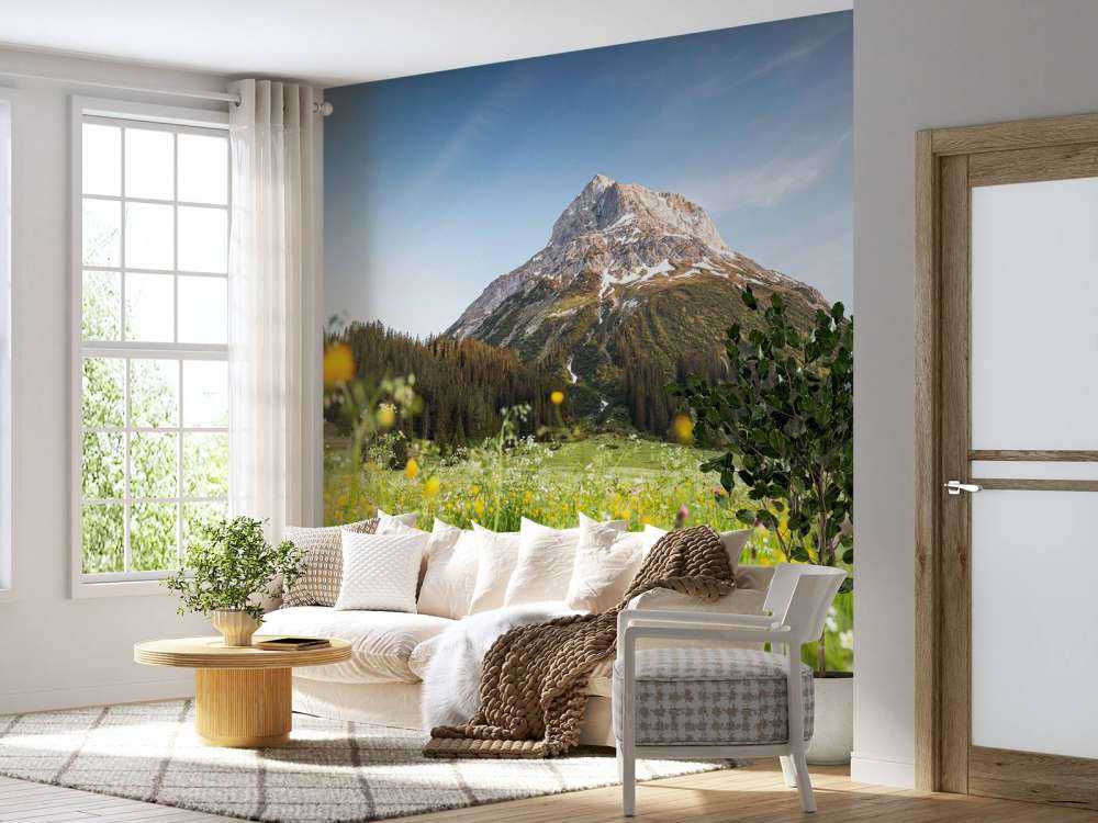 Sommet de la montagne au-dessus de la prairie de fleurs