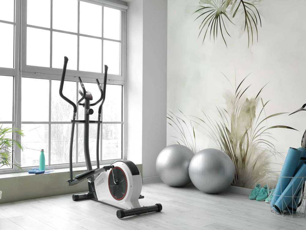 Grues dans le champ vert