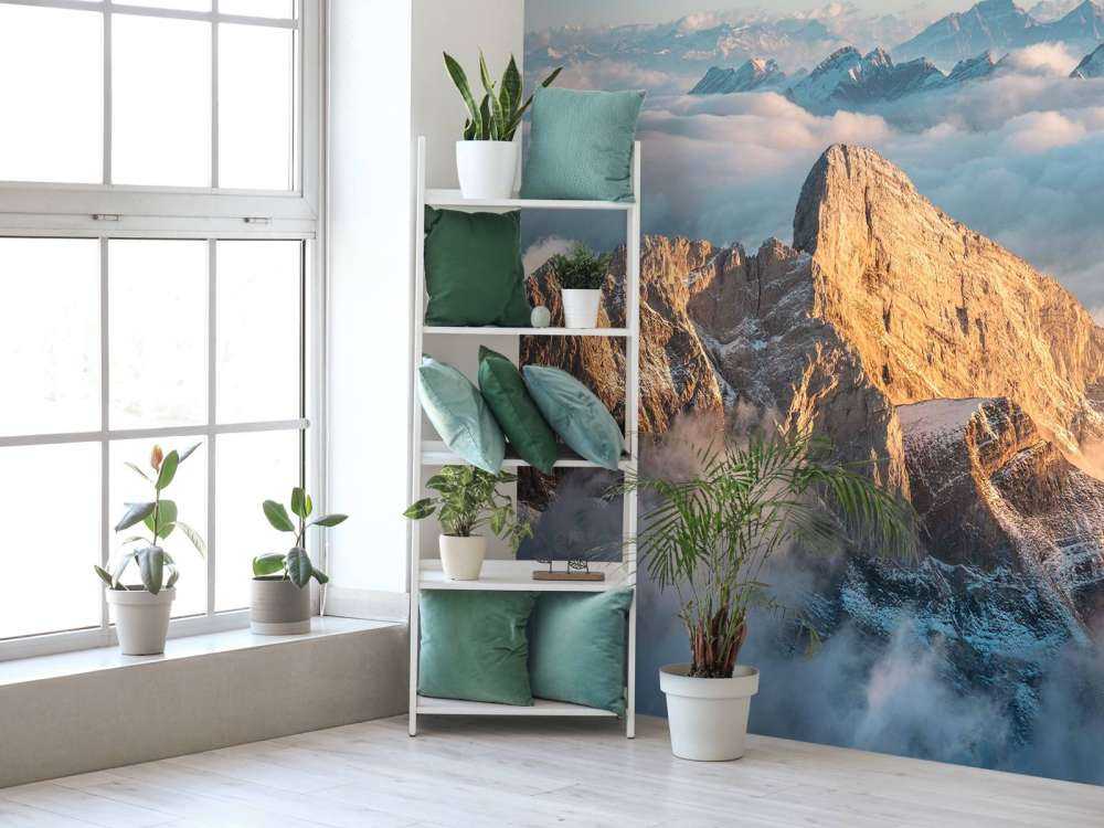 Sommet enneigé dans la lueur du matin