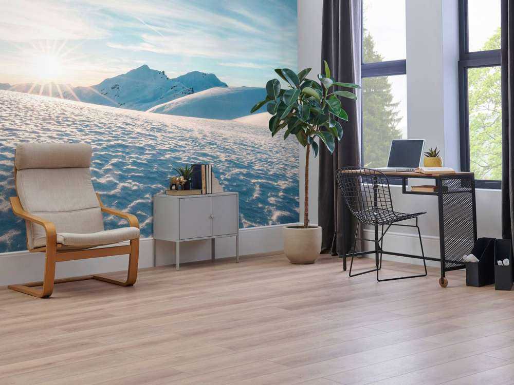 Soleil du matin sur des étendues de neige scintillante