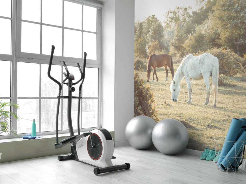 Chevaux dans la prairie