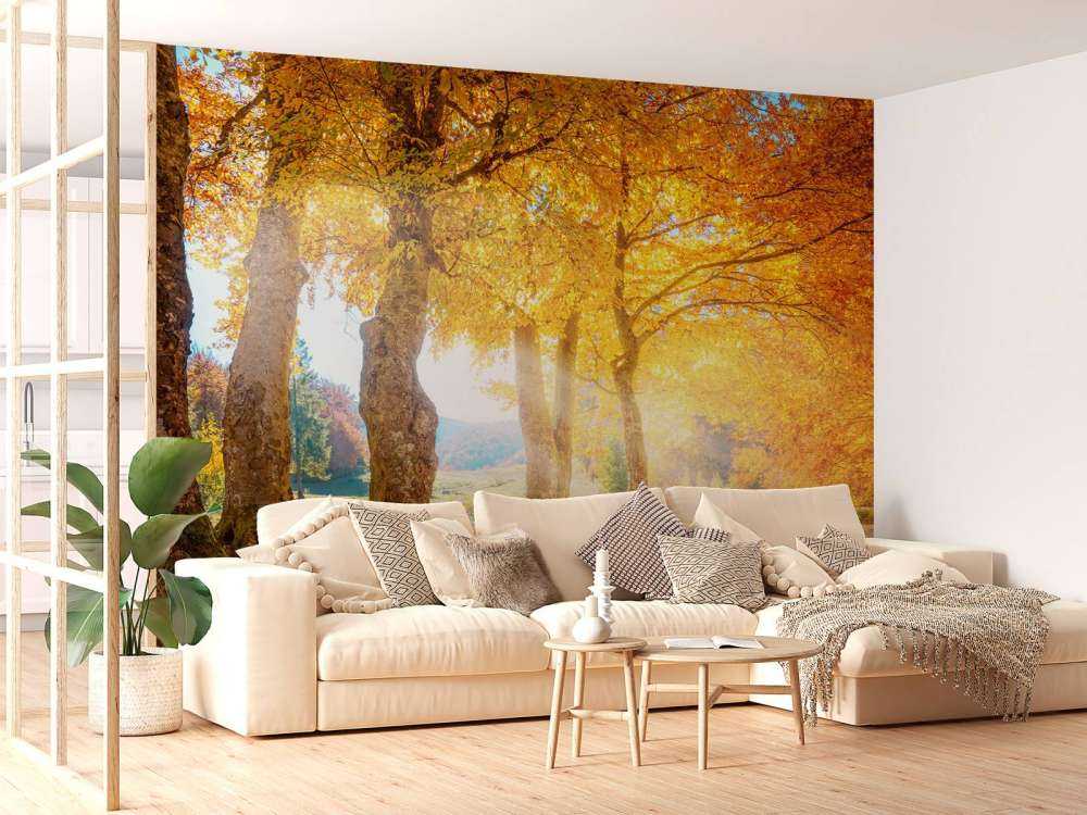 Chaleureux paysage d'automne