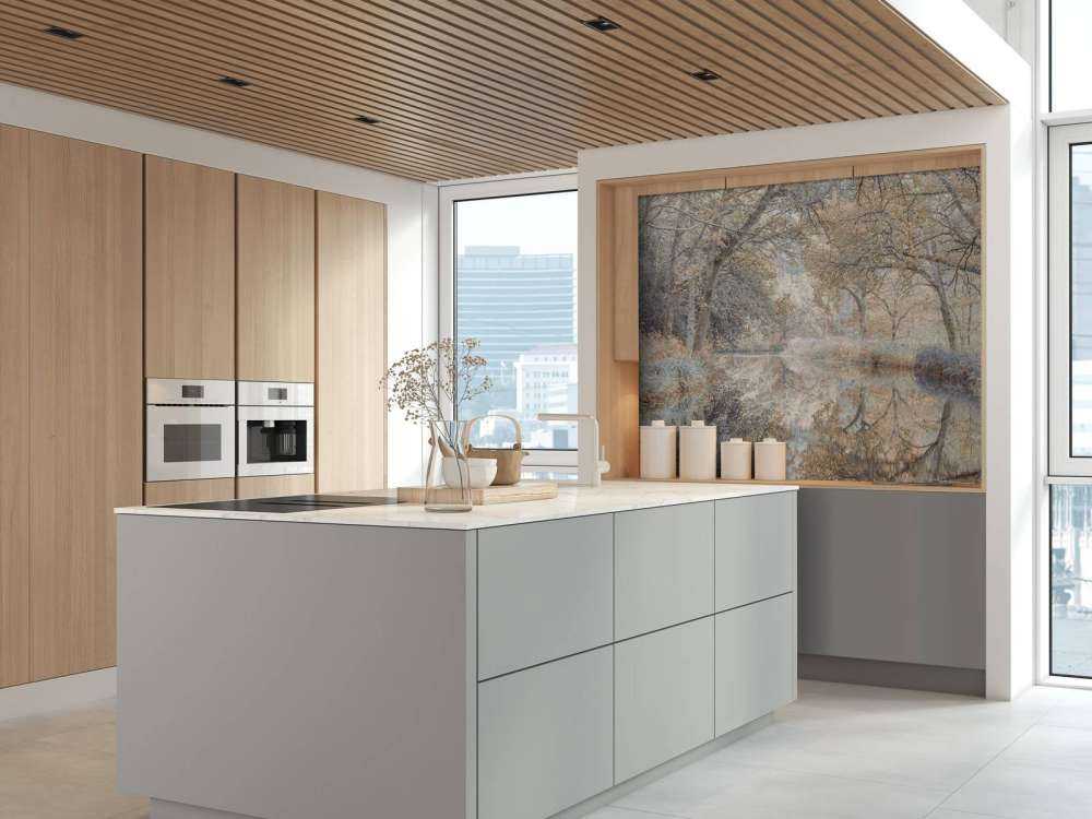 Rivière dans les bois