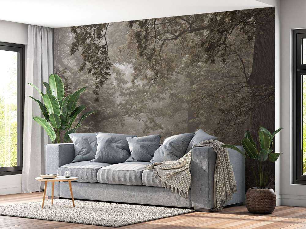 Chemin à travers la forêt brumeuse