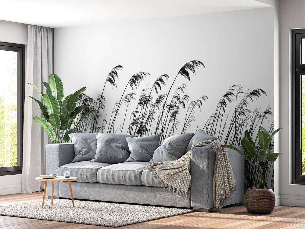 Roseau au bord de l'eau en noir et blanc