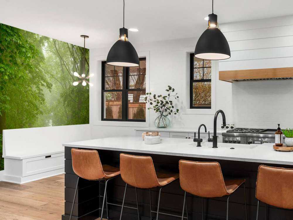 Forêt verte avec chemin brumeux