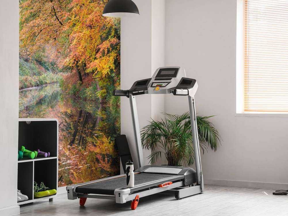 Chemin le long du canal