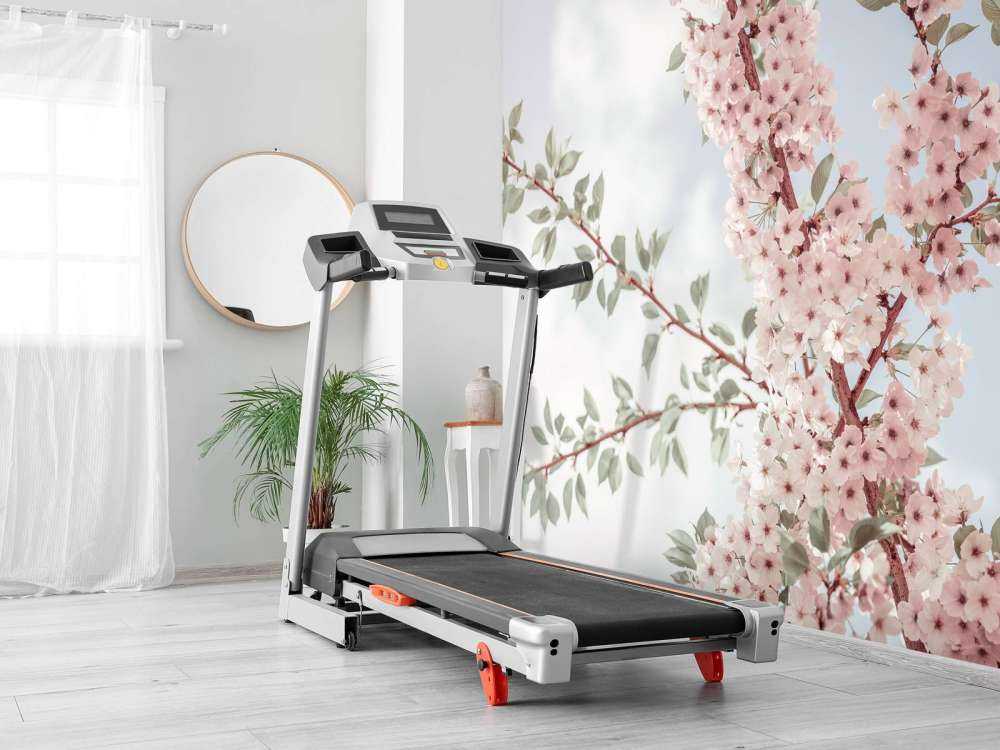 Fleurs épanouies vues d'en bas