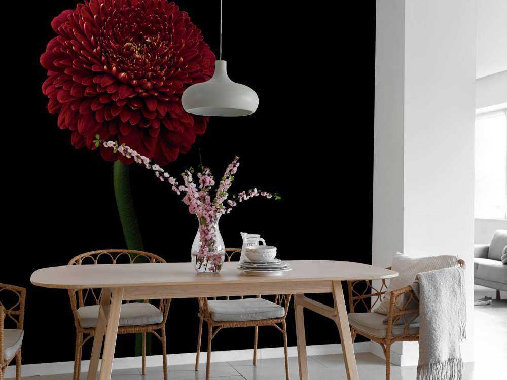 Fleur rouge sur la tige