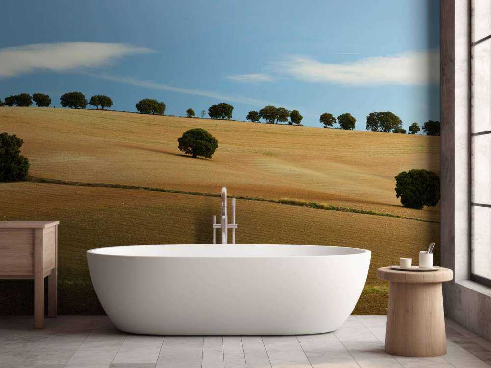 Les arbres dans le paysage espagnol