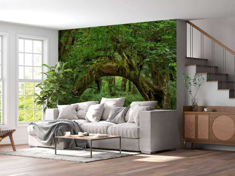 Arbre dans une arche