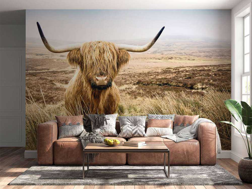 Highland écossais avec roseau