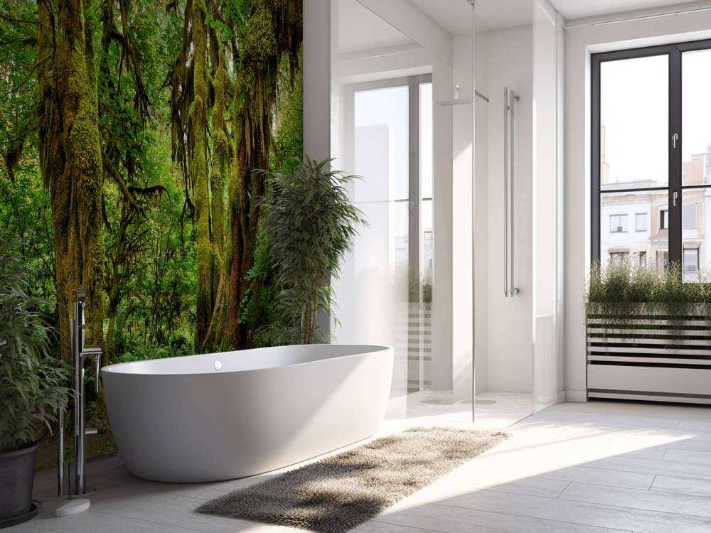 Ancienne forêt sauvage