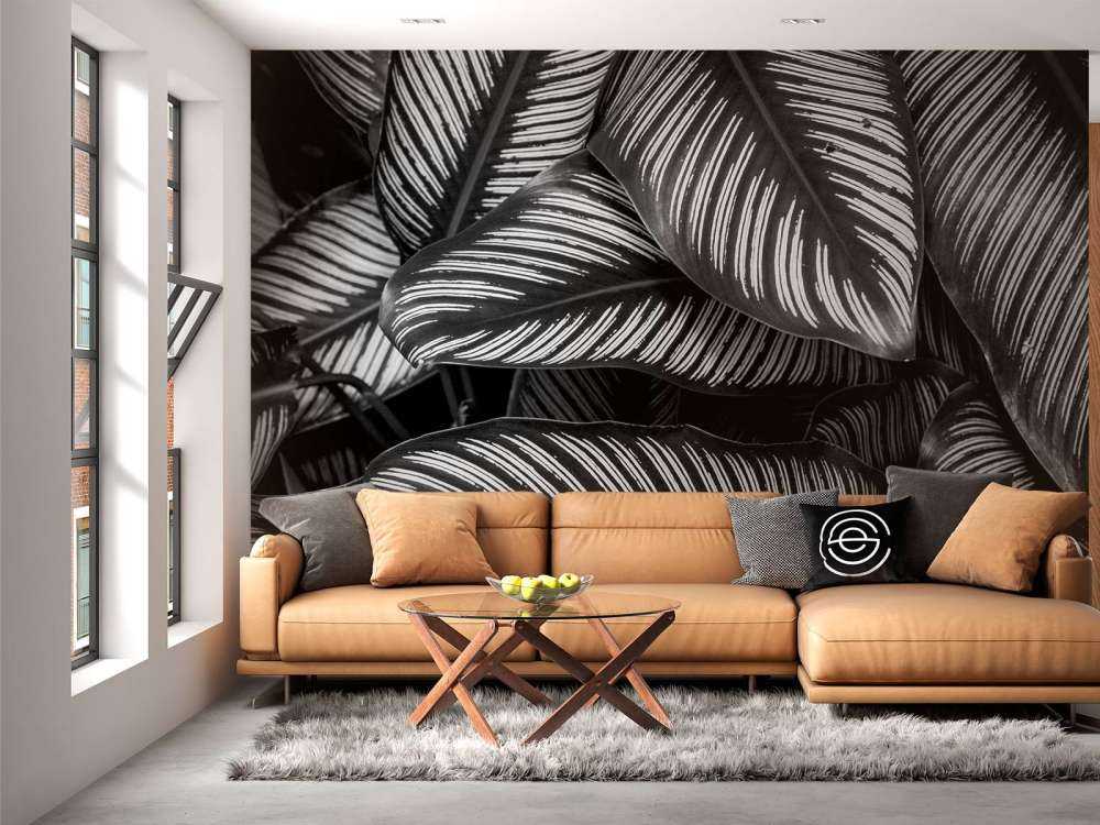 Feuilles de palmier noires et blanches