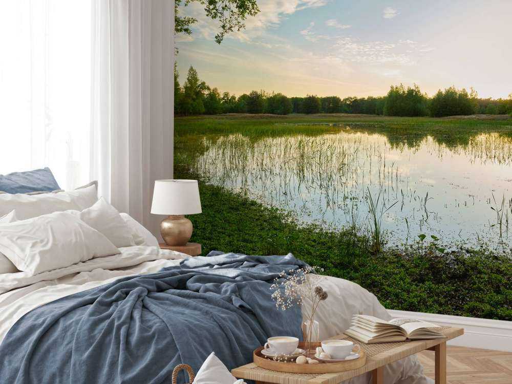 Coucher de soleil à forêt