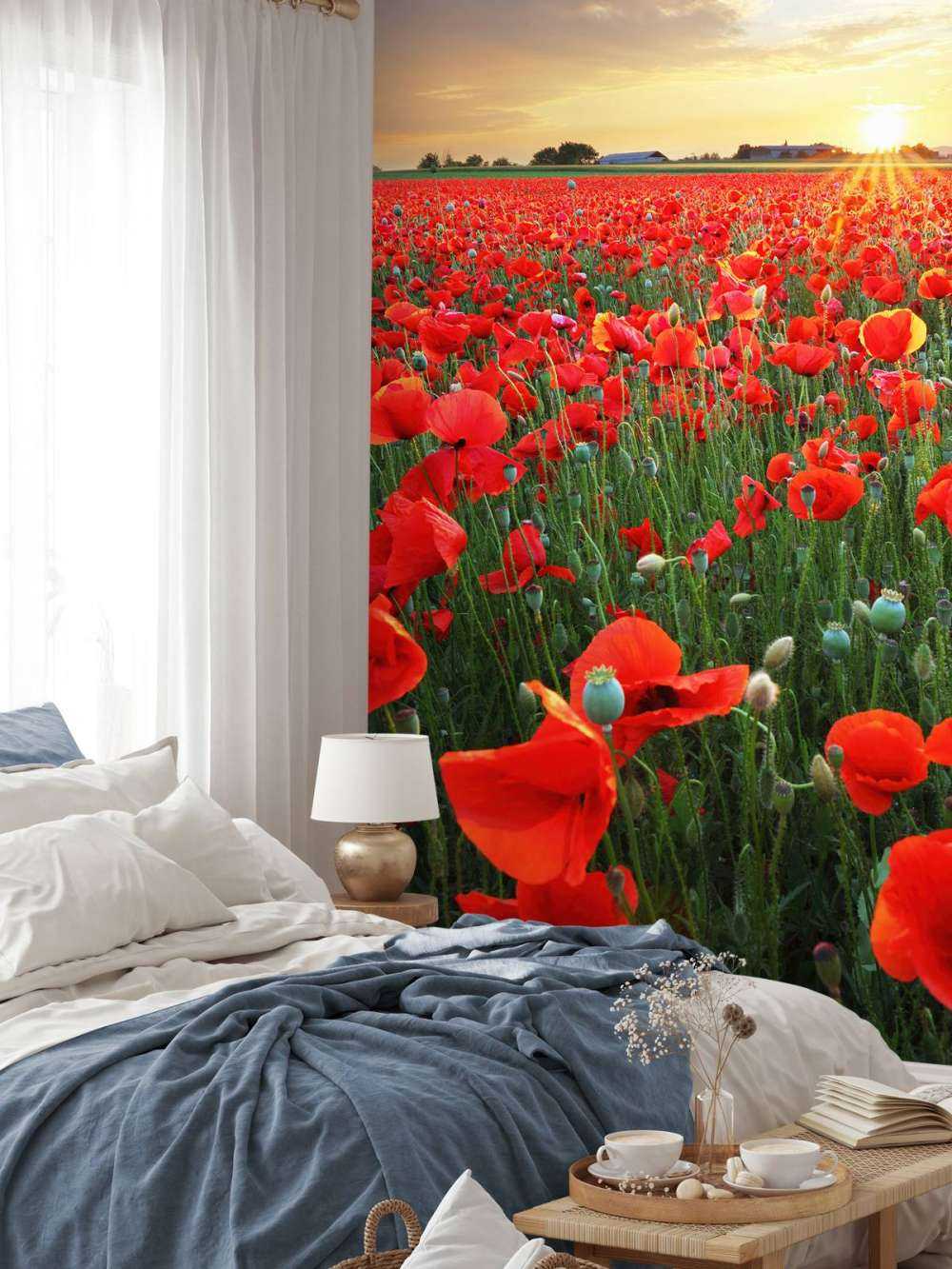 Les coquelicots au coucher du soleil