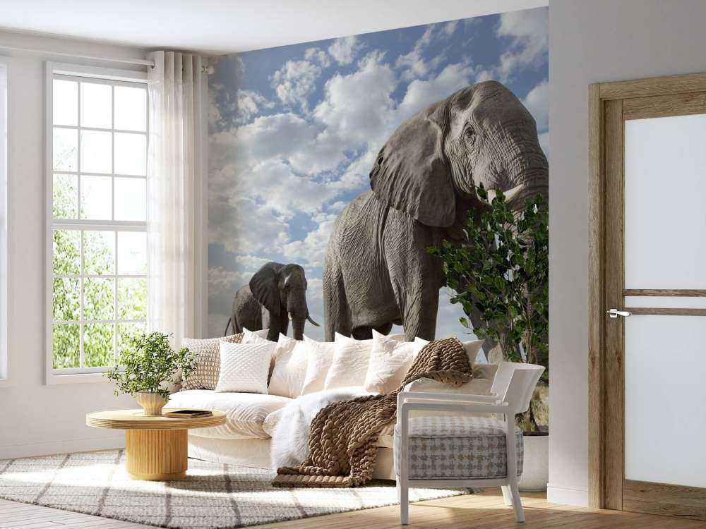 Le passage des éléphants