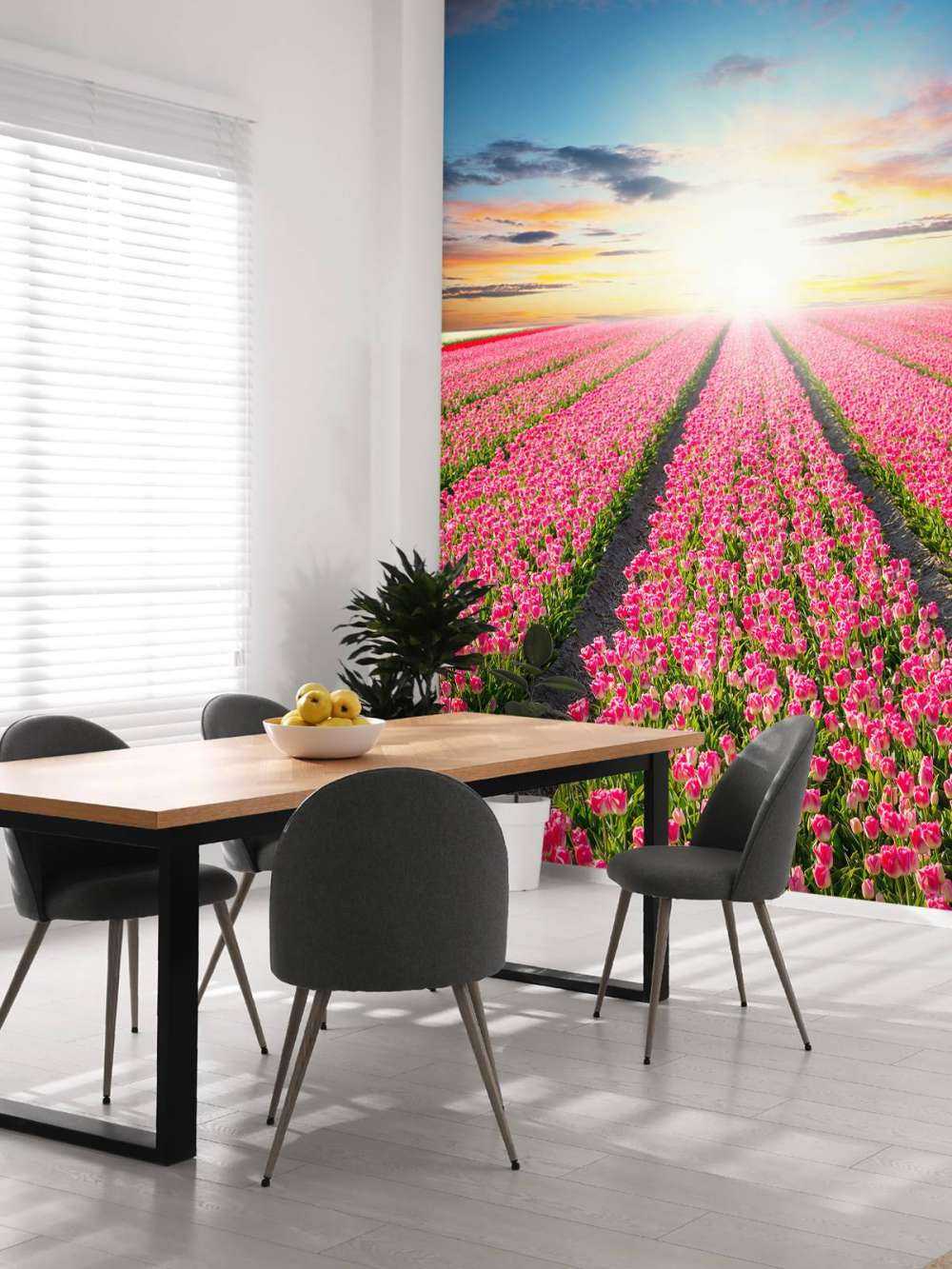 Tulipes avec le soleil levant