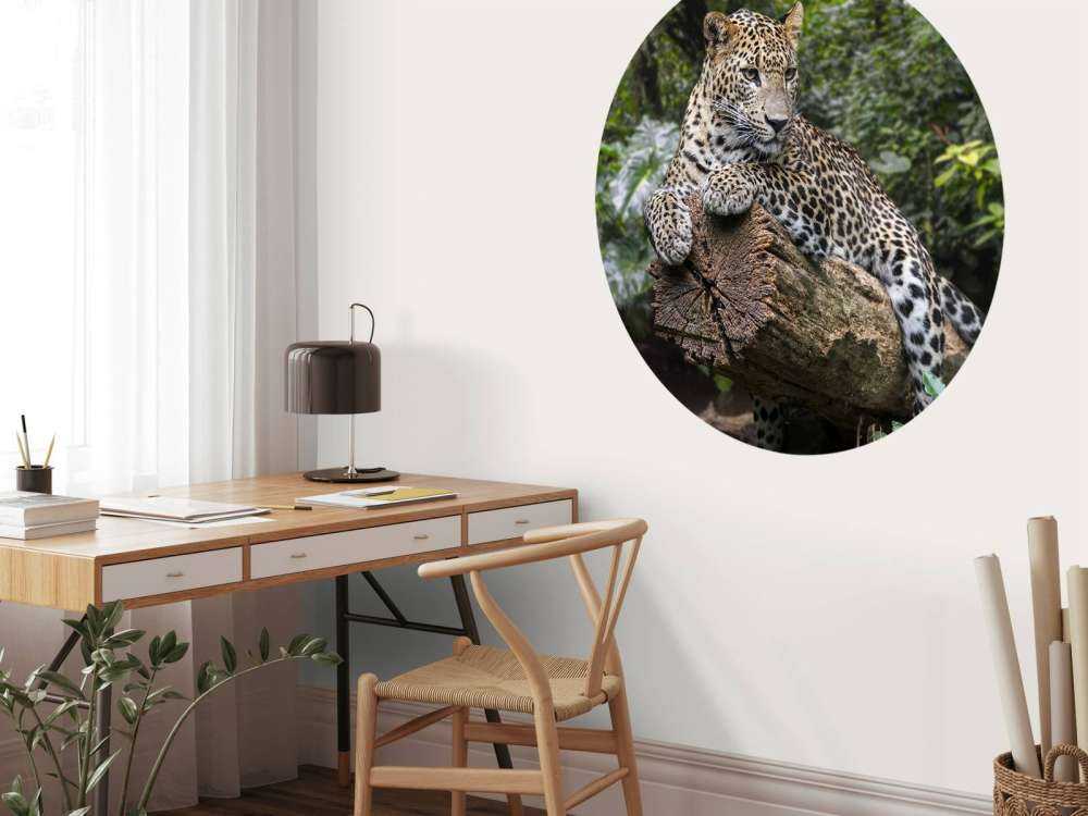 Un léopard sur une branche