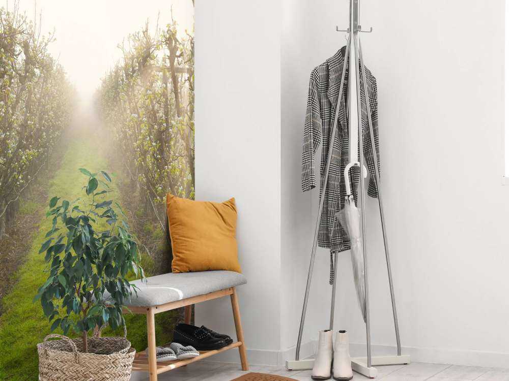 Fleur de poirier dans la brume