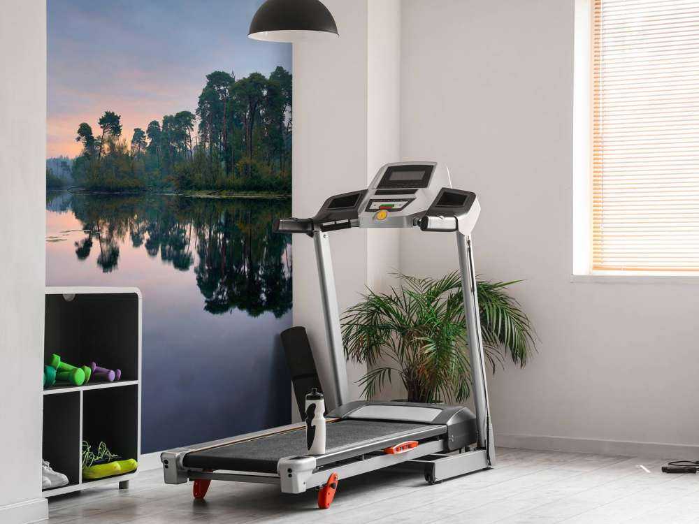 Reflets de la forêt dans l'eau au soleil levant