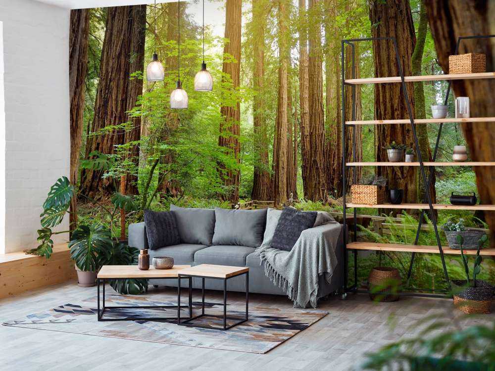 De grands arbres dans un parc