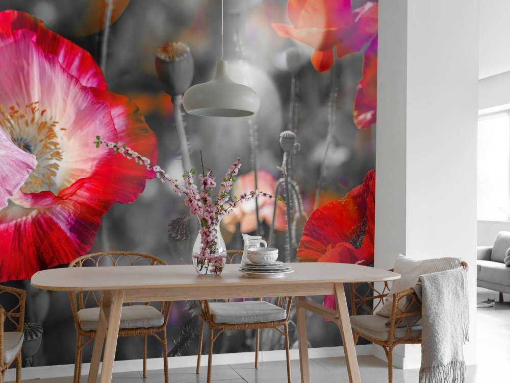 Coquelicots en noir, blanc, rouge