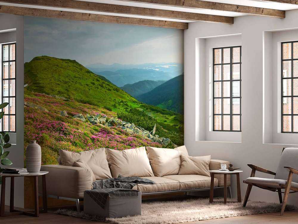 Les rhododendrons en montagne