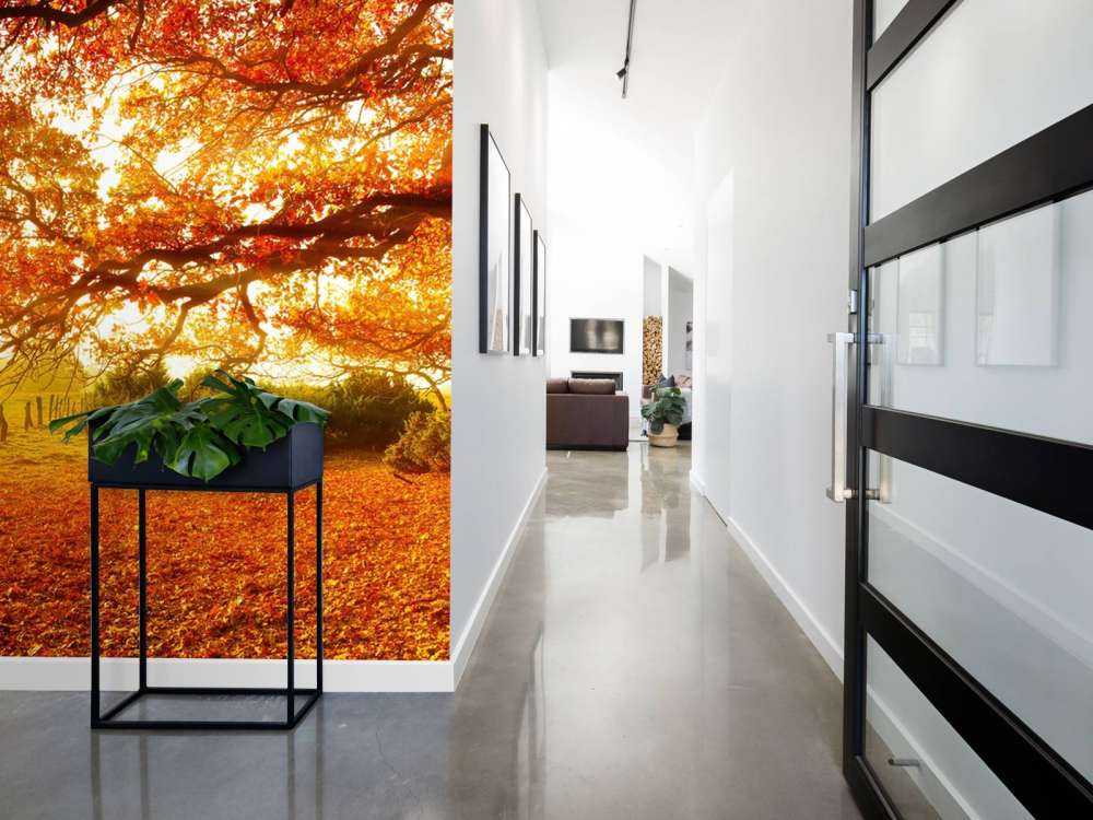 Paysage d'automne avec forêt et prairie