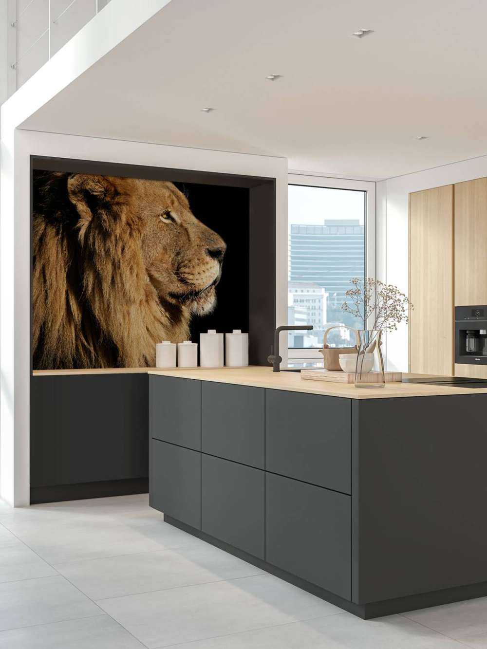 Profil latéral d'un lion