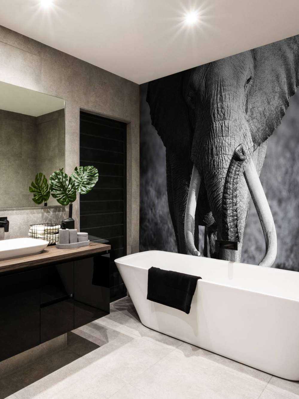 éléphant d'Afrique