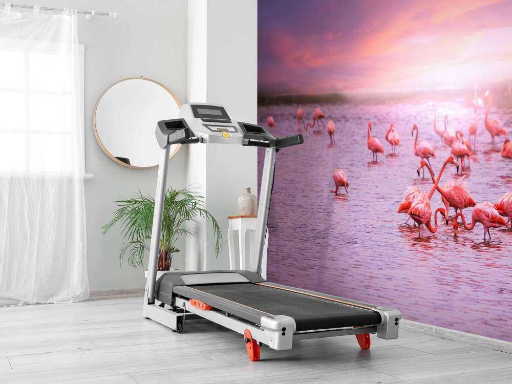 Flamants et le coucher de soleil