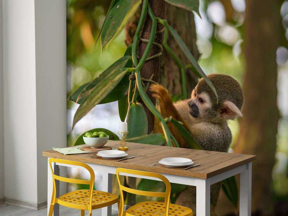 Petit singe dans les arbres