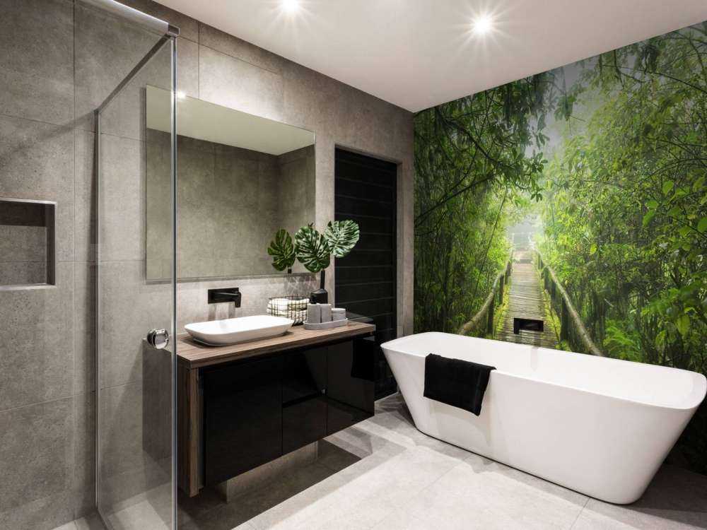 Jungle verte et brumeuse