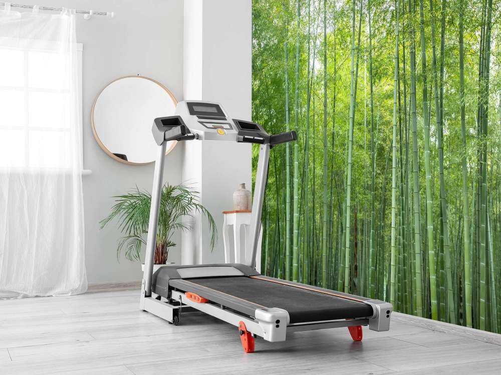 Forêt de bambous verts