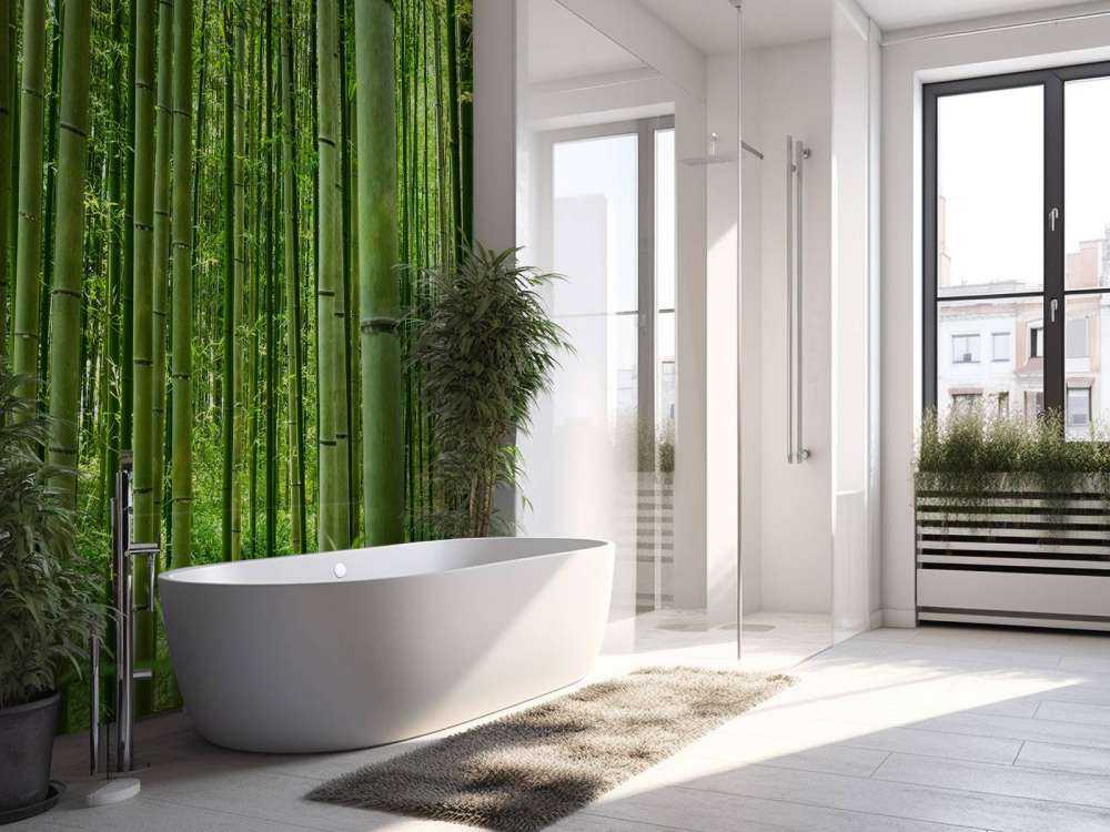 Au milieu de la forêt de bambous