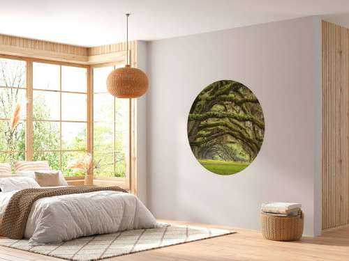 Forêt enchantée