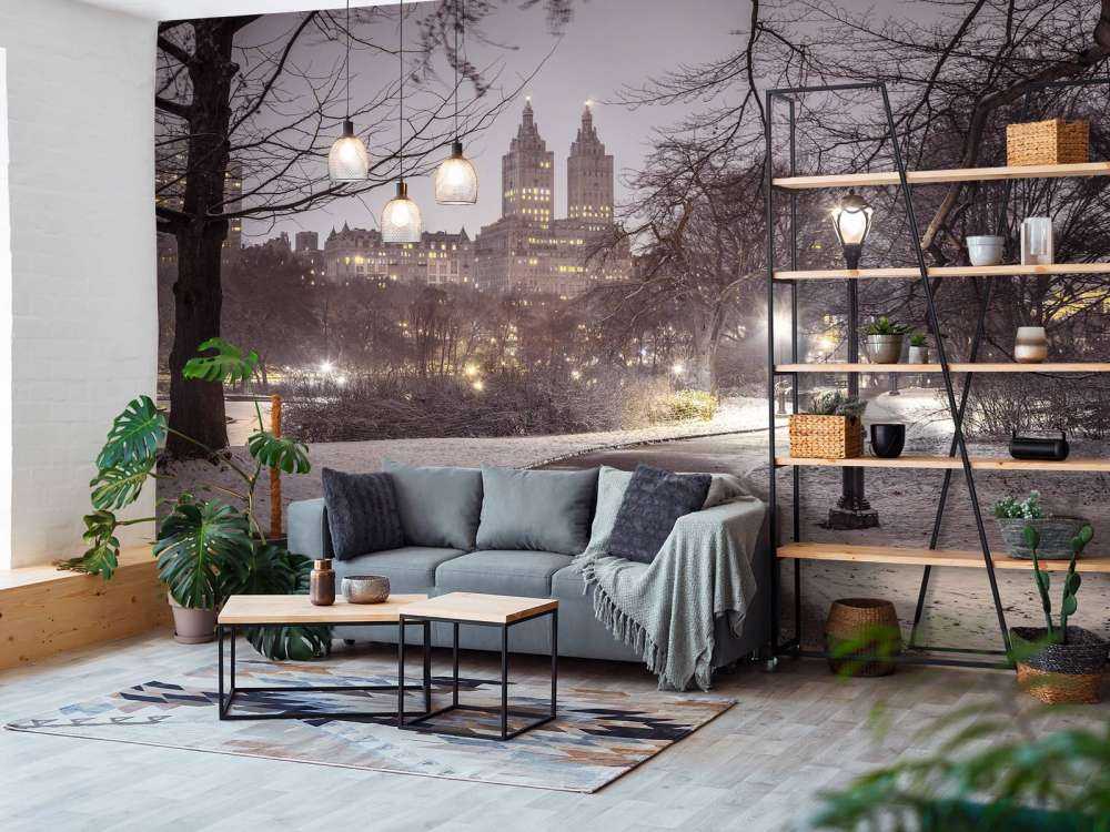 Central park couvert de neige