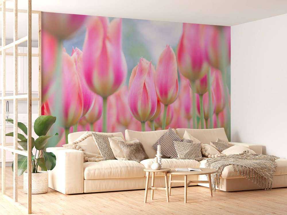 Gros plan sur des tulipes roses