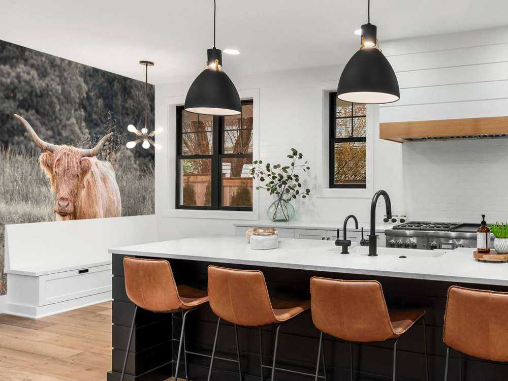 Highlander écossais dans un champ