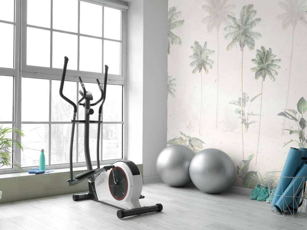 Matin Brumeux Tropical